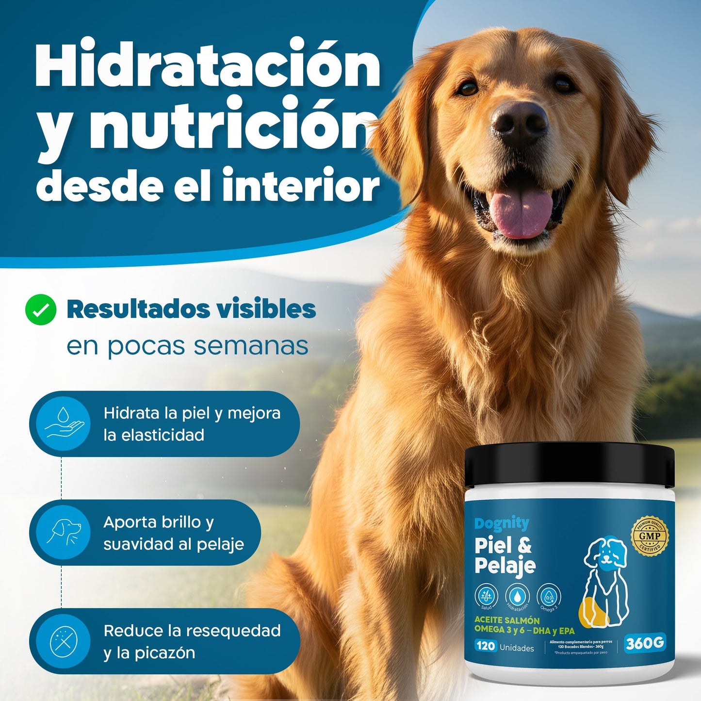 Suplemento para Dermatitis y Pelaje en Perros – Hidratación | Dogfinity - Dogfinity