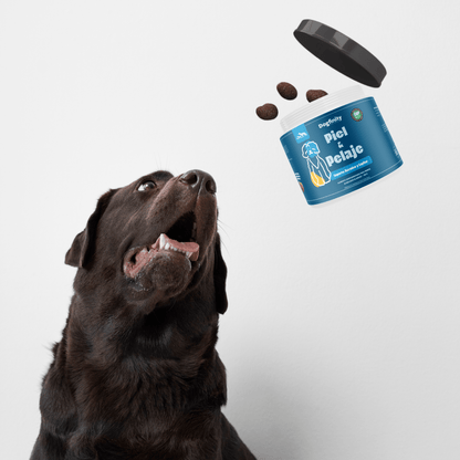 Suplemento para Dermatitis y Pelaje en Perros – Hidratación | Dogfinity - Dogfinity