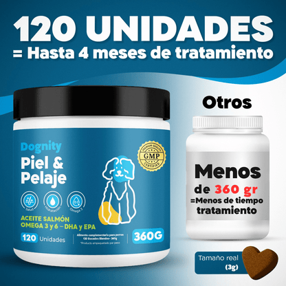 Suplemento para Dermatitis y Pelaje en Perros – Hidratación | Dogfinity - Dogfinity